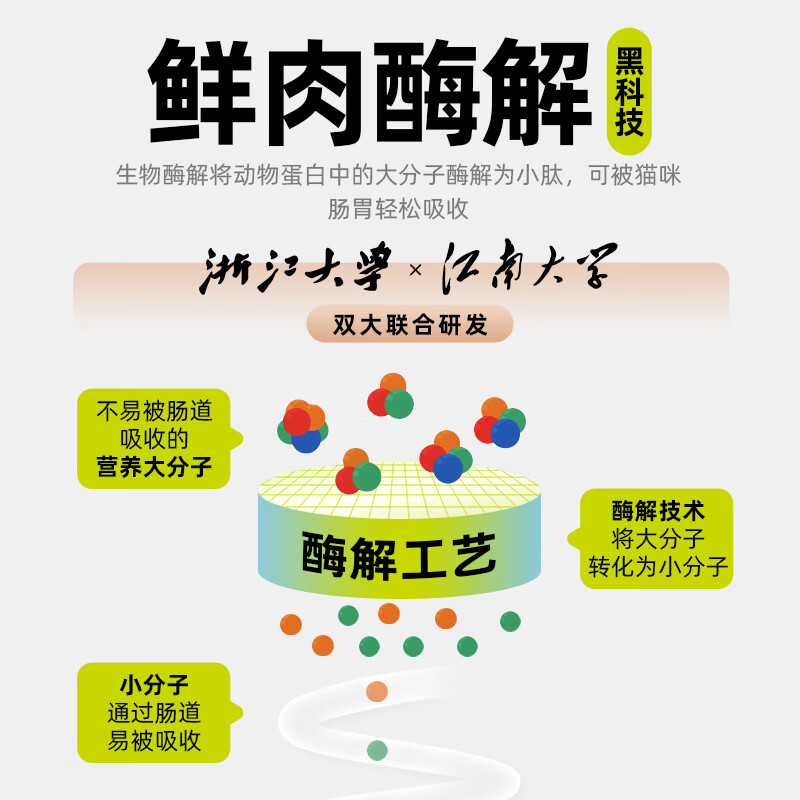 高防云服务器:保护您业务的安全盾牌